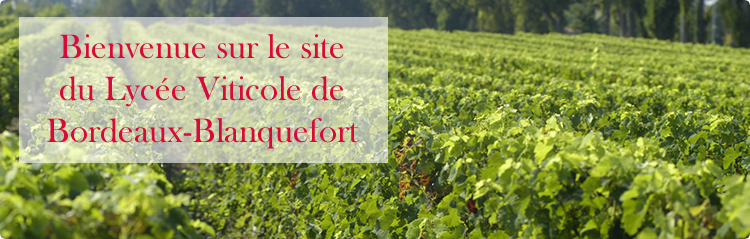 Bienvenue sur le site du lycée viticole Bordeaux Blanquefort